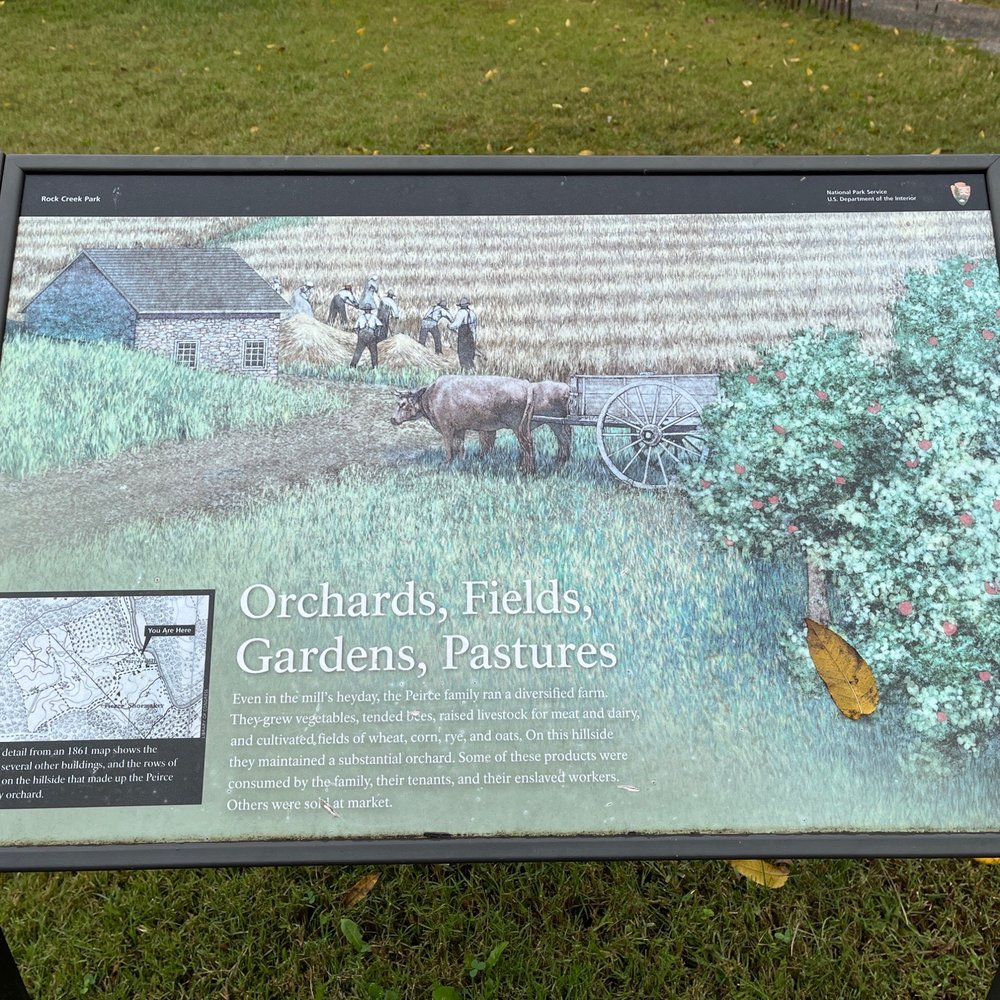 Peirce Mill - Landmarks & Historical Buildings Near Me - Washington, DC, District of Columbia