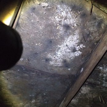 Atrax Roof & Gutter - Rot/mold. The result of a failed B-Vent (furnace flue). - Roofing Near Me - Kirkland, Washington Atrax Roof & Gutter - Rot/mold. The result of a failed B-Vent (furnace flue). - Roofing Near Me - Kirkland, Washington