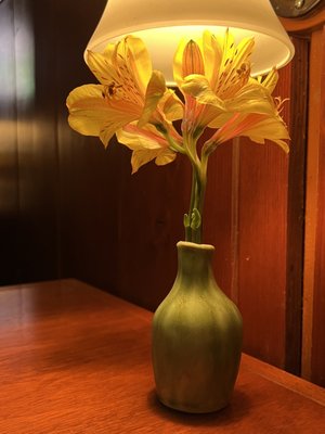 McMenamins Ruby's Spa at Edgefield by null