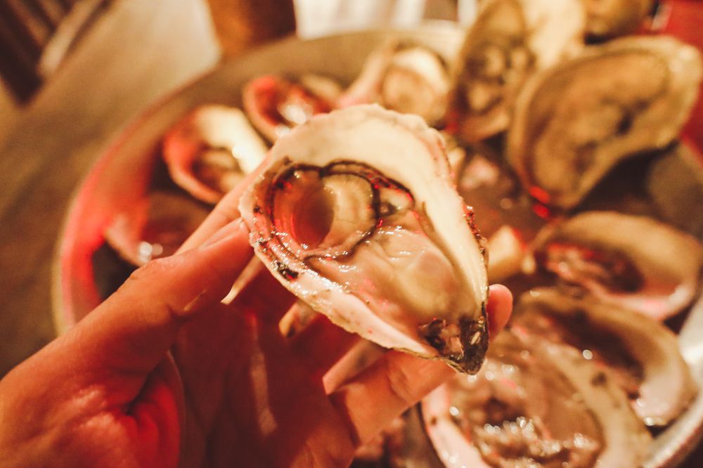 The Oyster Shack Image