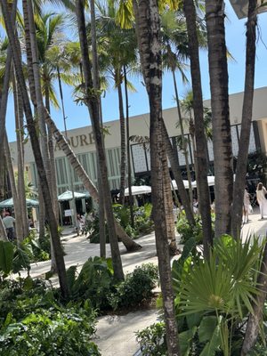 Miami Design District by null