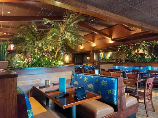 Bahama Breeze by null