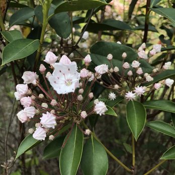 Panther Creek Recreation Area - Hiking Near Me