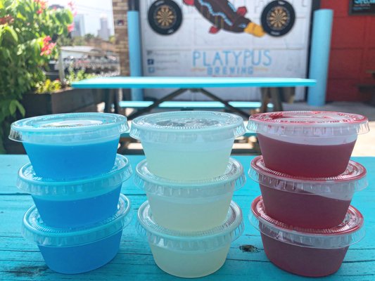 Platypus Brewing by null