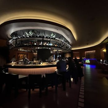 Toro By Chef Richard Sandoval - Beautiful bar - Latin American Near Me - Chicago, Illinois Toro By Chef Richard Sandoval - Beautiful bar - Latin American Near Me - Chicago, Illinois