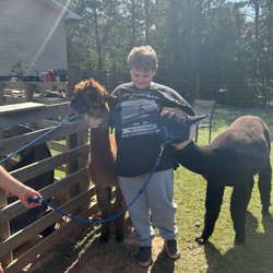 Buddy’s Alpaca Farm - My 11 year old son with Buddy and Cowboy Ninja.