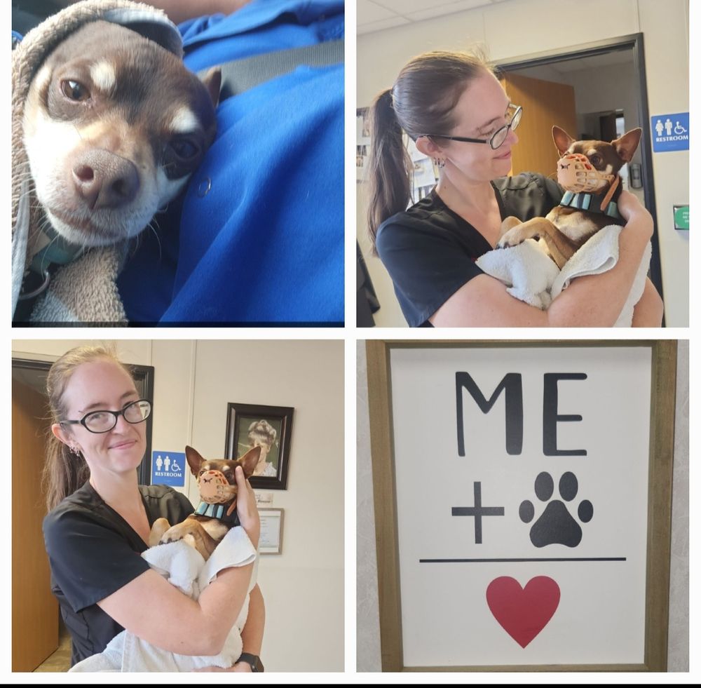 DENVER ANIMAL HOSPITAL Updated September 2024 27 Photos & 80