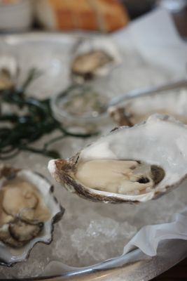 Scoma's of Sausalito by null