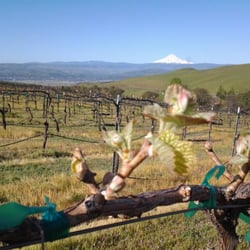 Marshal's Winery