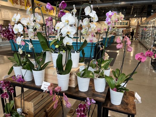 Whole Foods Market by null