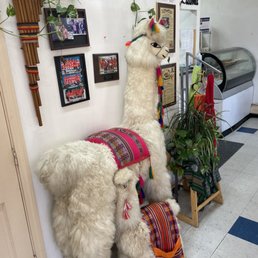 two llamas in a store