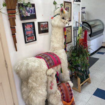 La Empanada Llama - two llamas in a store - Peruvian Near Me - Albany, New York