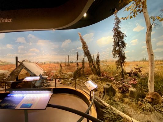 Morris Thompson Cultural & Visitors Center by null