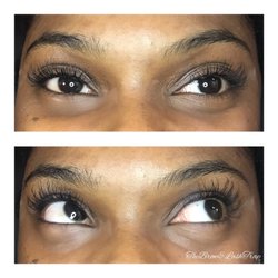 The Brow & Lash Trap