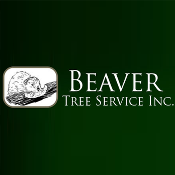 Beaver Tree Service - Tree Services Near Me - Salisbury, Maryland