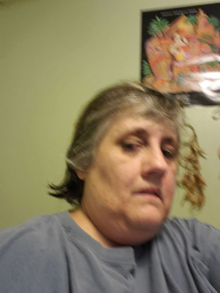 GREAT CLIPS Updated June 2024 14910 Rt 58 S, Oberlin, Ohio Hair