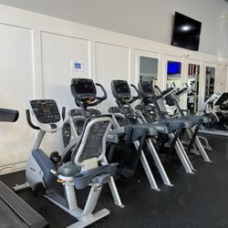 True Fitness Gym