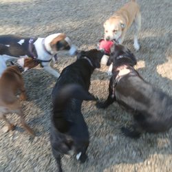 Upper Valley Humane Society Shelter