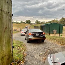 The line to go through the "safari." Not worth the money or wait.