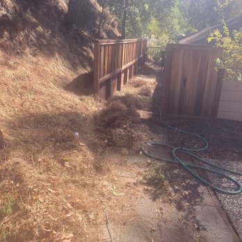 Green Lane Tree Service - Dangerous fuel build up. I didn't even expect them to do this!  They did it for safety!!! - Tree Services Near Me - Brentwood, California