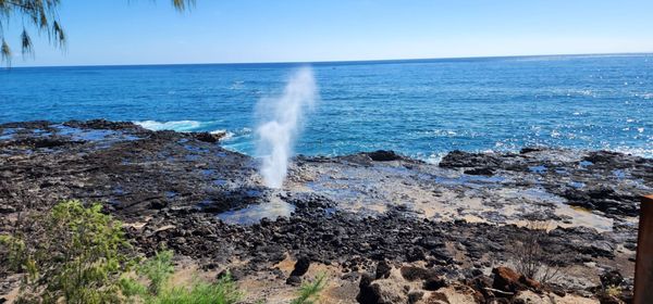 Spouting Horn by null