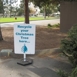 Treecycling Time Treecycling Time
