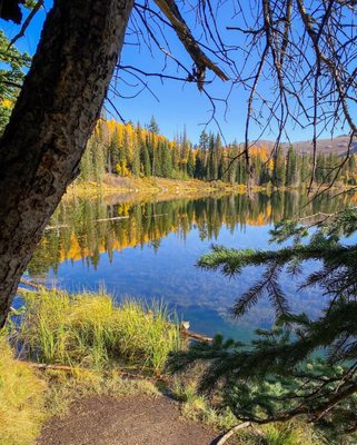 Big Cottonwood Canyon by null