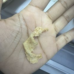 Huey Magoo's Chicken Tenders - Ocoee - Chewy chicken skin In my wrap. They don't clean and prep their chicken properly