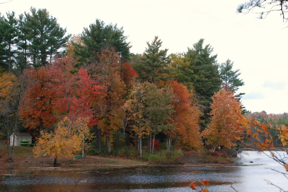 Social spots from Howard Memorial Park
