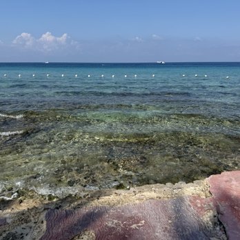 Playa de Corona - Seafood Near Me - Cozumel, ROO Playa de Corona - Seafood Near Me - Cozumel, ROO