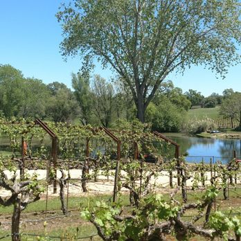 Young's Vineyard - Wineries Near Me - Plymouth, California Young's Vineyard - Wineries Near Me - Plymouth, California