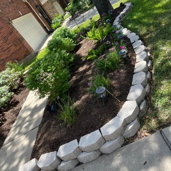 Aaron Tree Services - Tree Services Near Me