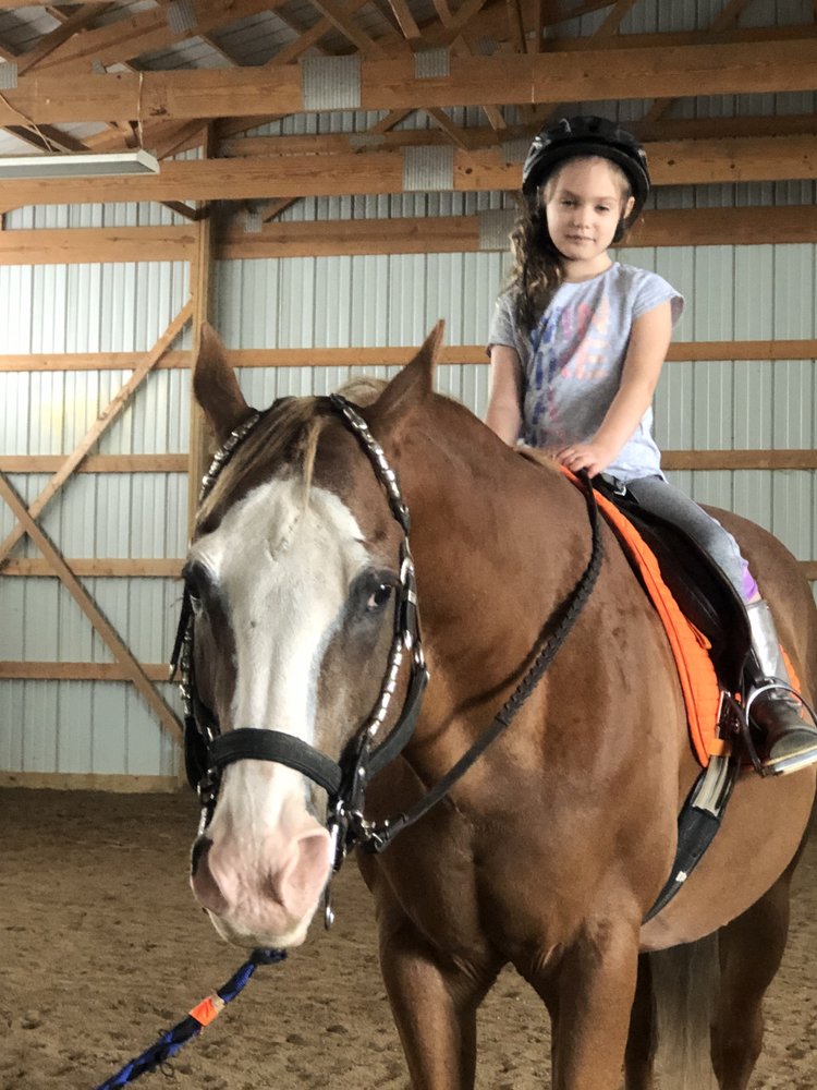 EQUINE MOMENTS Updated July 2024 19 Photos Northville, Michigan