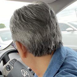 Premier Cuts