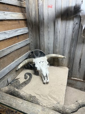 Dixie Chicken by null