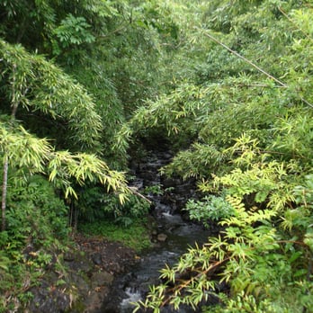 Pipiwai Trail - The stream - VN - Hiking Near Me - Hana,, Hawaii