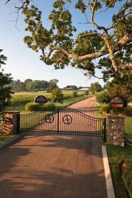 Arrington Vineyards by null
