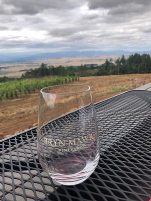 Bryn Mawr Vineyards by null