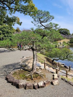 Suizenji Jojuen Garden by null