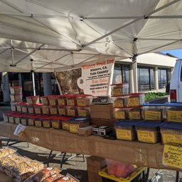 Ferry farmers market, 1/23/21, shelter in place