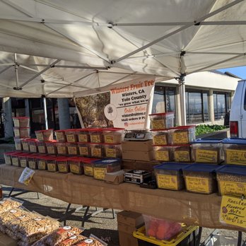 Winters Fruit Tree - Ferry farmers market, 1/23/21, shelter in place - Grocery Near Me - Winters, California
