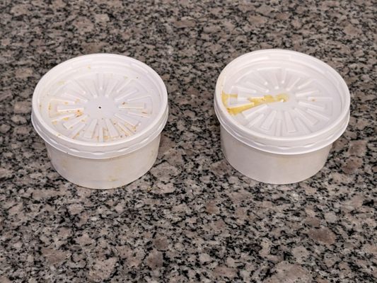 Crimson Coward by null