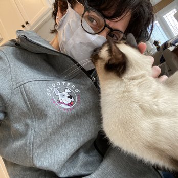 Splooters - Always look forward to Pipa's head butts! - Pet Sitting Near Me - Carlsbad, California Splooters - Always look forward to Pipa's head butts! - Pet Sitting Near Me - Carlsbad, California