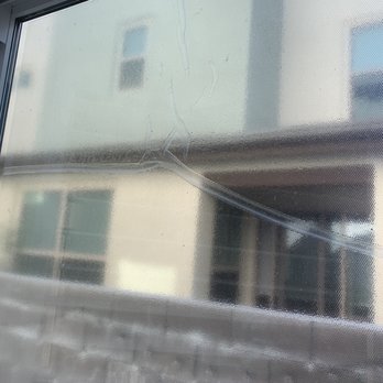 OC Tint Shop - Turf Guard Window film shrinking and bunching up after 13 months - Car Window Tinting Near Me - Mission Viejo, California OC Tint Shop - Turf Guard Window film shrinking and bunching up after 13 months - Car Window Tinting Near Me - Mission Viejo, California