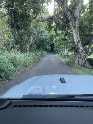 Roberts Hawaii Shore Excursions by null