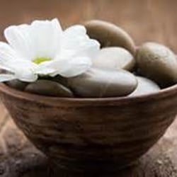 Ecoasis Salon & Wellness Studio