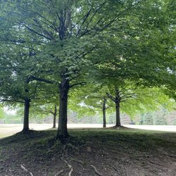 Sensory Garden Playground