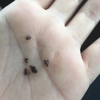 Marylou's Coffee - All of these pieces of coffee bean came through in only two sips with my little pink straw. Needless to say, every sip was obstructed :/ - Coffee & Tea Near Me - Hyannis, Massachusetts Marylou's Coffee - All of these pieces of coffee bean came through in only two sips with my little pink straw. Needless to say, every sip was obstructed :/ - Coffee & Tea Near Me - Hyannis, Massachusetts