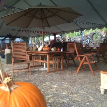 Waynes World of Trees & Pumpkin Patch - Venues & Event Spaces Near Me - Encinitas, California