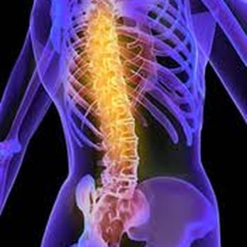 Midwest Chiropractic Center - Sports Medicine Near Me - Worthington, Ohio Midwest Chiropractic Center - Sports Medicine Near Me - Worthington, Ohio